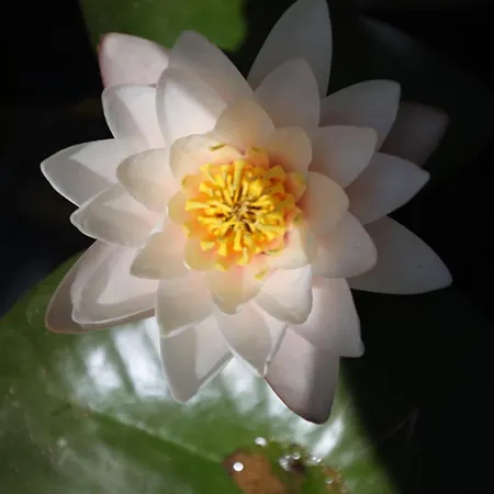 Dimora Beatrice Μαρτίνα Φράνκα