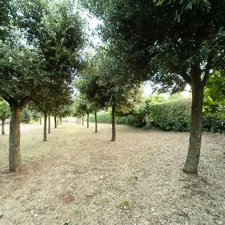Dimora Beatrice