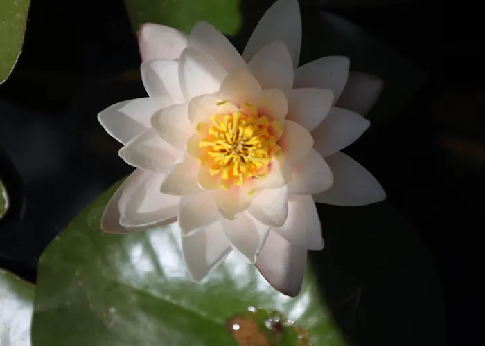 Dimora Beatrice Martina Franca